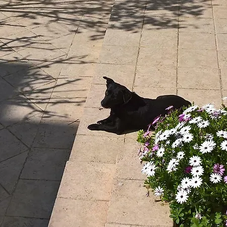 公寓 Sunny And Quiet In Chania, Sleeps 4 *